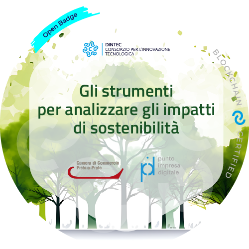 Gli strumenti per analizzare gli impatti di sostenibilità
